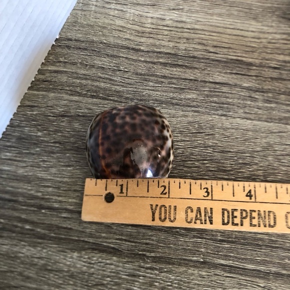 Set of Seven Cowrie Shell Napkin Rings - Picture 5 of 9